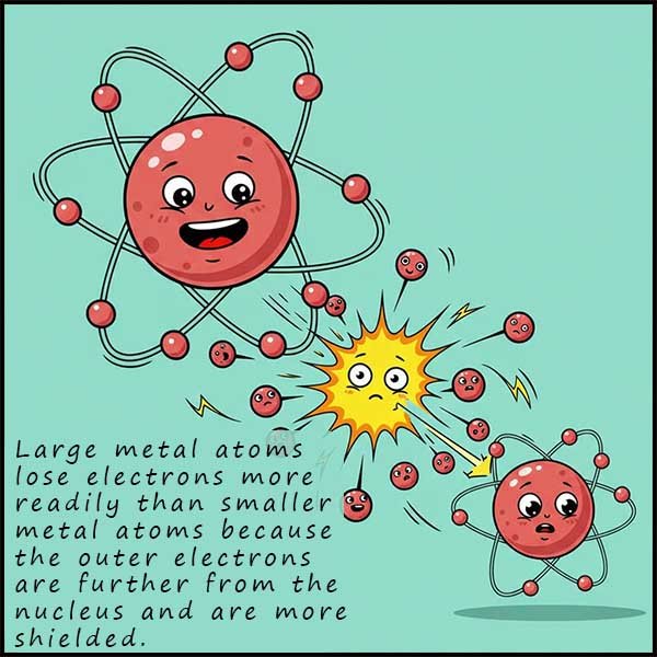 Image show that large metal atoms lose electrons more readily than smaller metal atoms due to more shielding and the electrons to be lost are further from the nucleus
